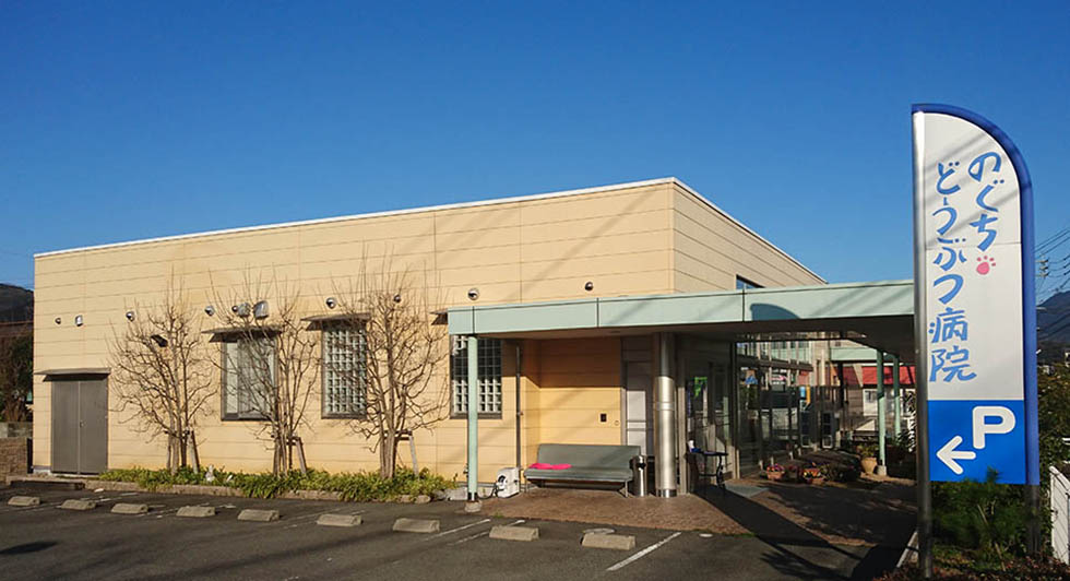 のぐちどうぶつ病院