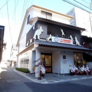 いなば動物病院