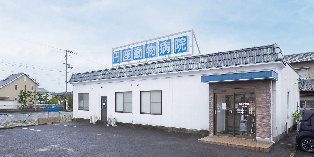 円座動物病院