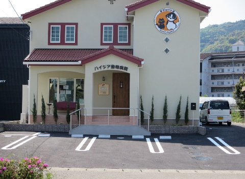 ハイジア動物病院