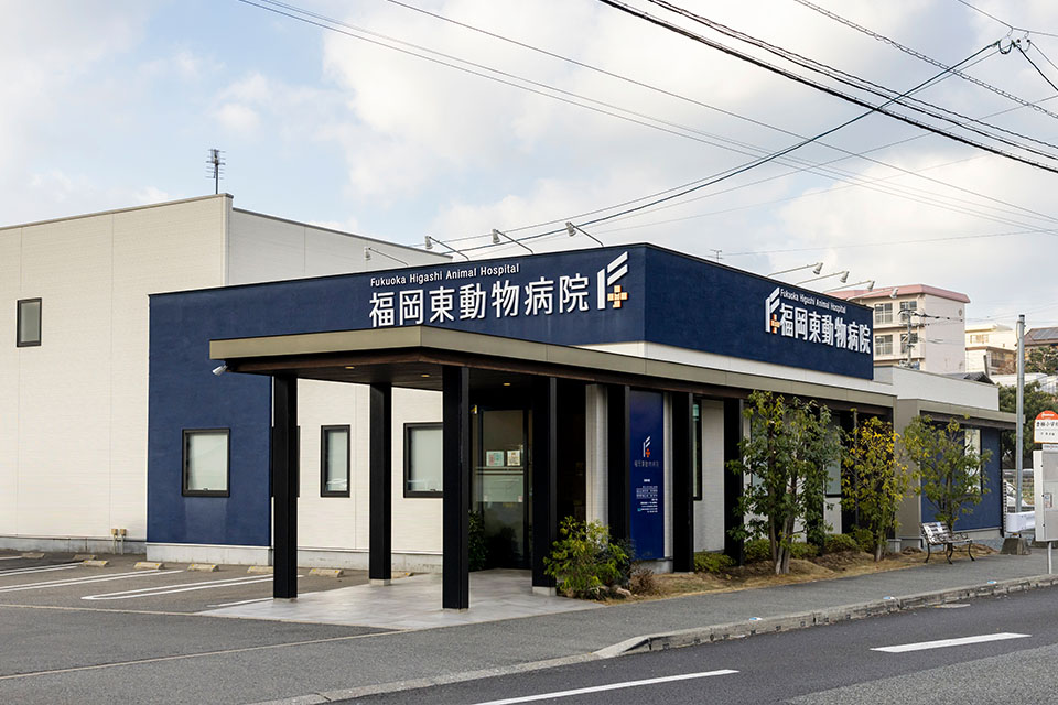福岡東動物病院