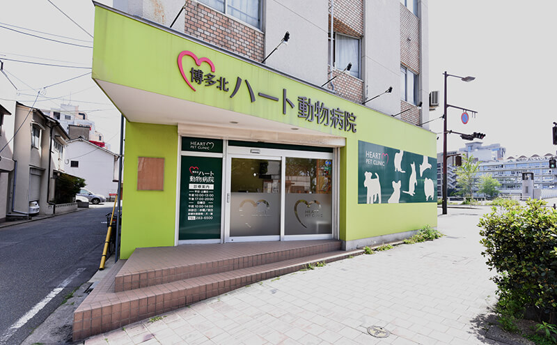 博多北ハート動物病院
