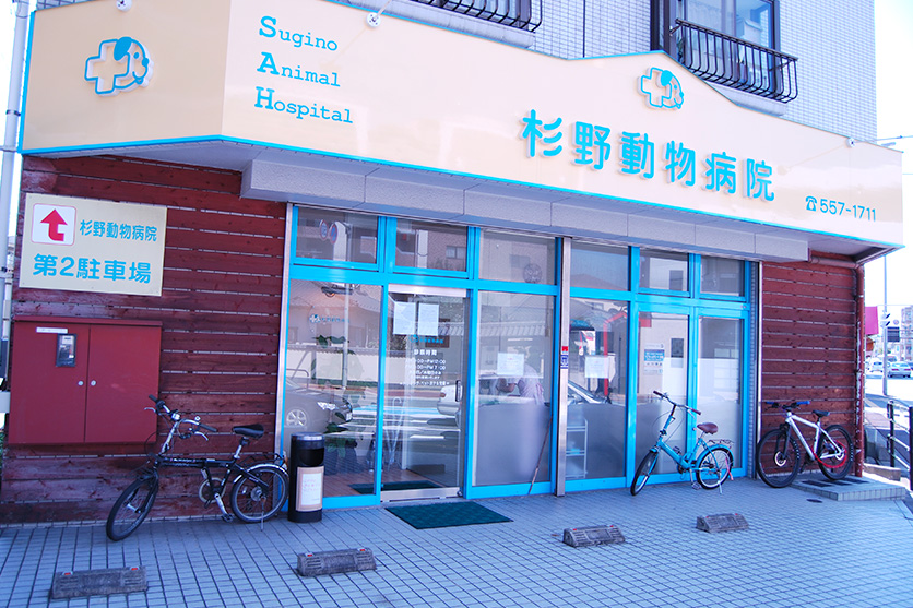 杉野動物病院