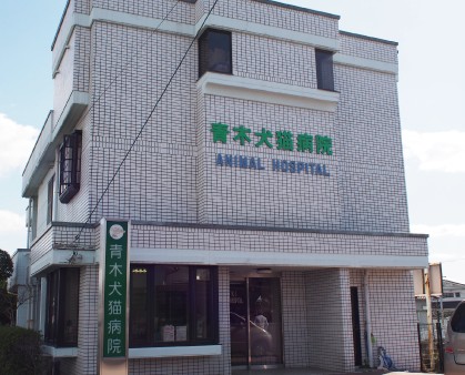 青木犬猫病院