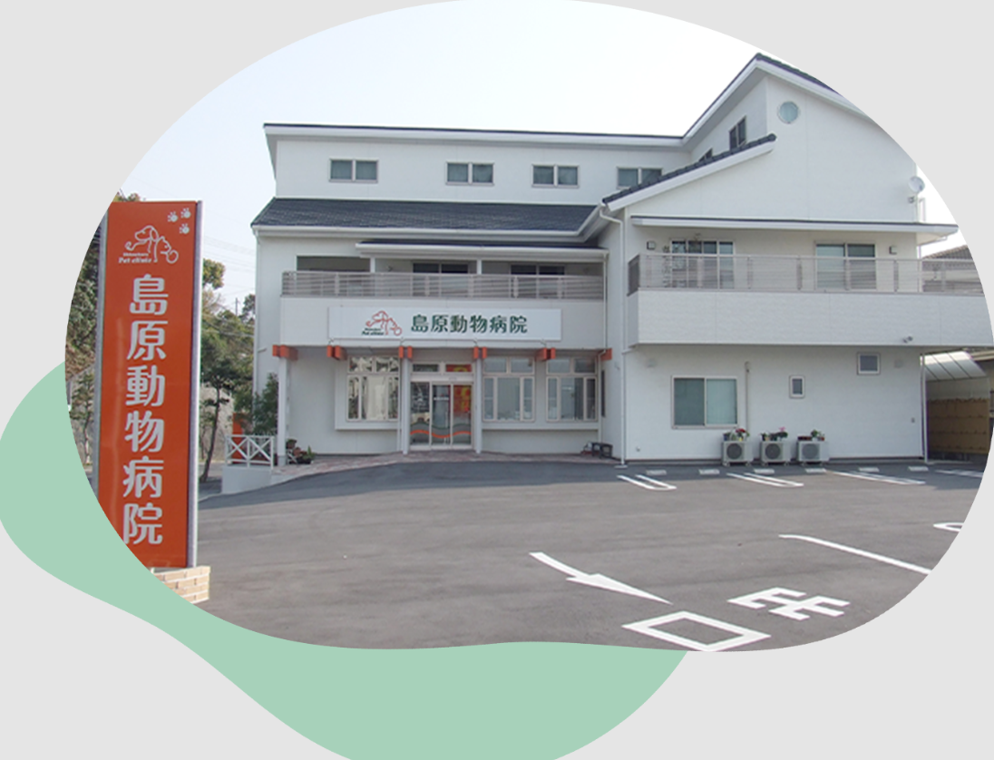 島原動物病院