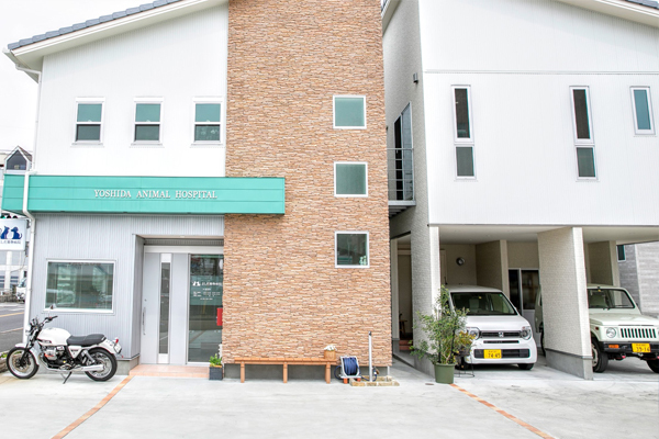 よしだ動物病院