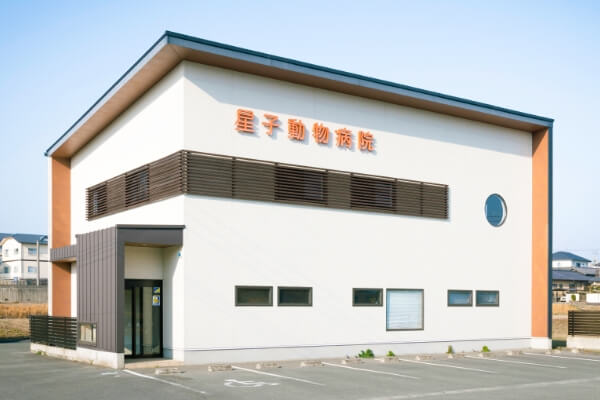 星子動物病院