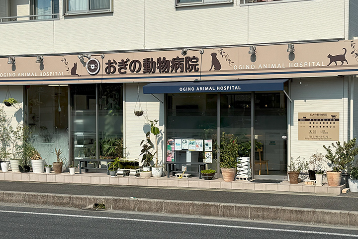 おぎの動物病院