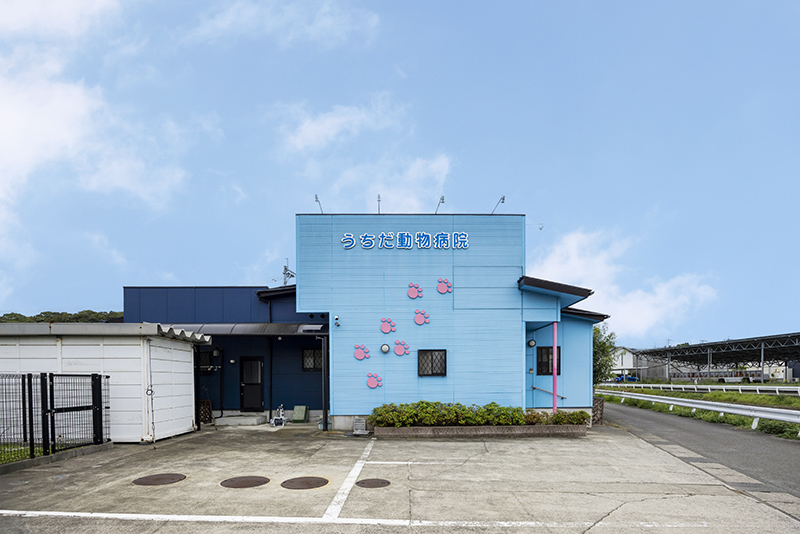 うちだ動物病院