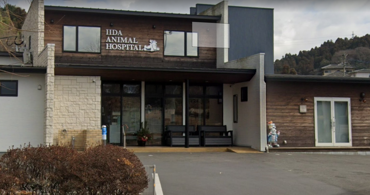 いいだ動物病院