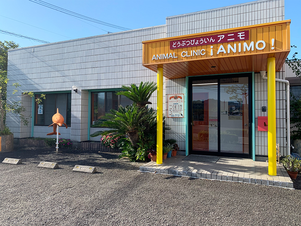 アニマルクリニック・アニモ