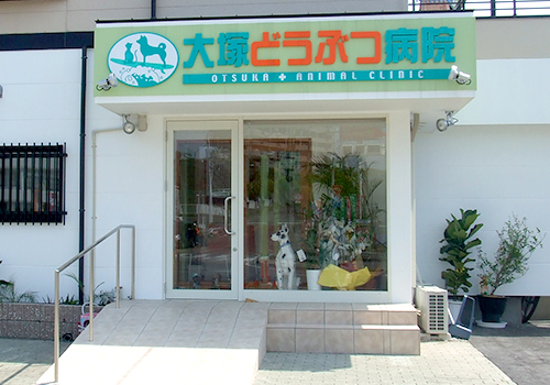大塚どうぶつ病院
