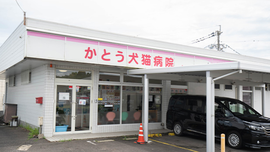 かとう犬猫病院