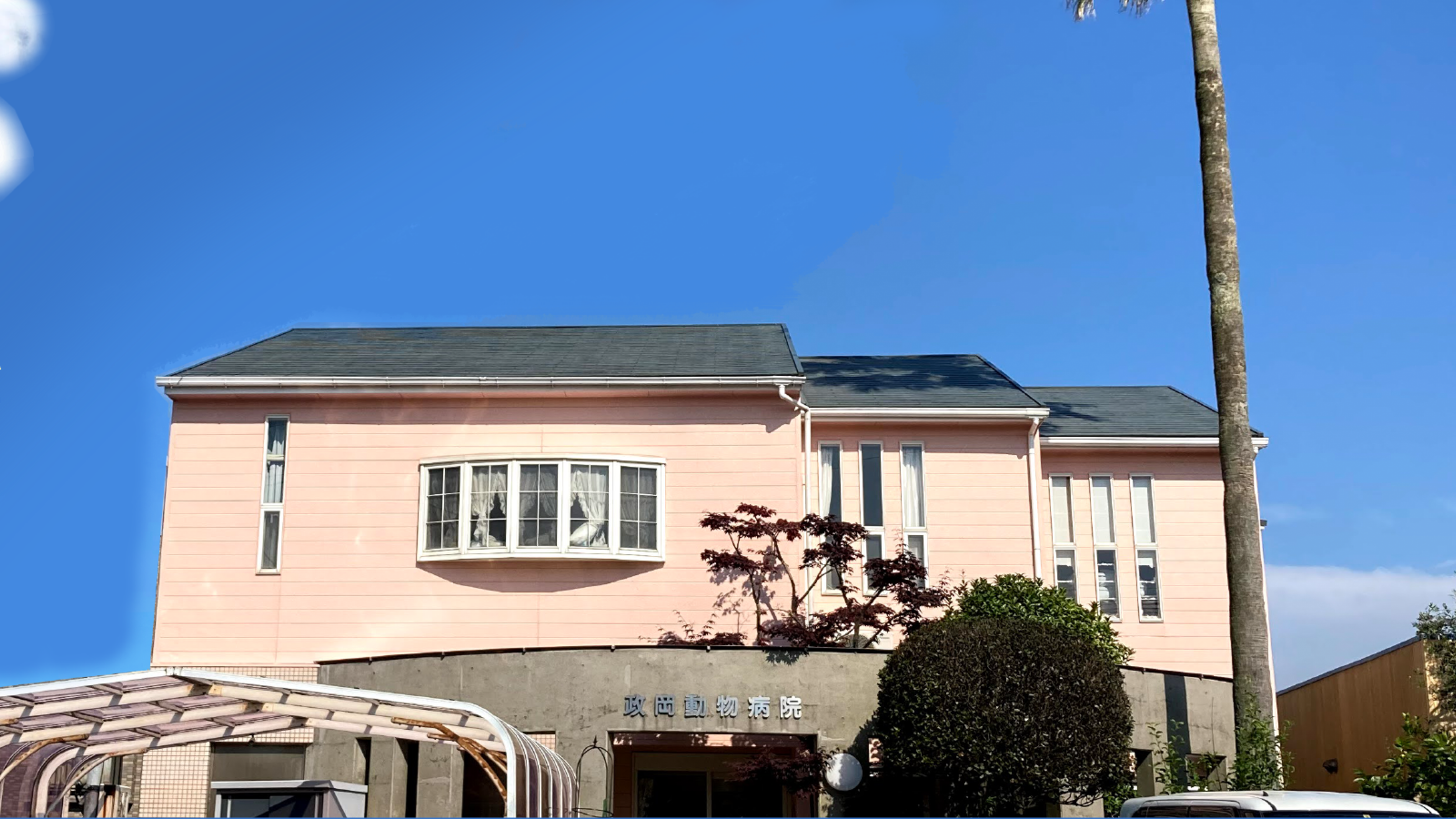 政岡動物病院