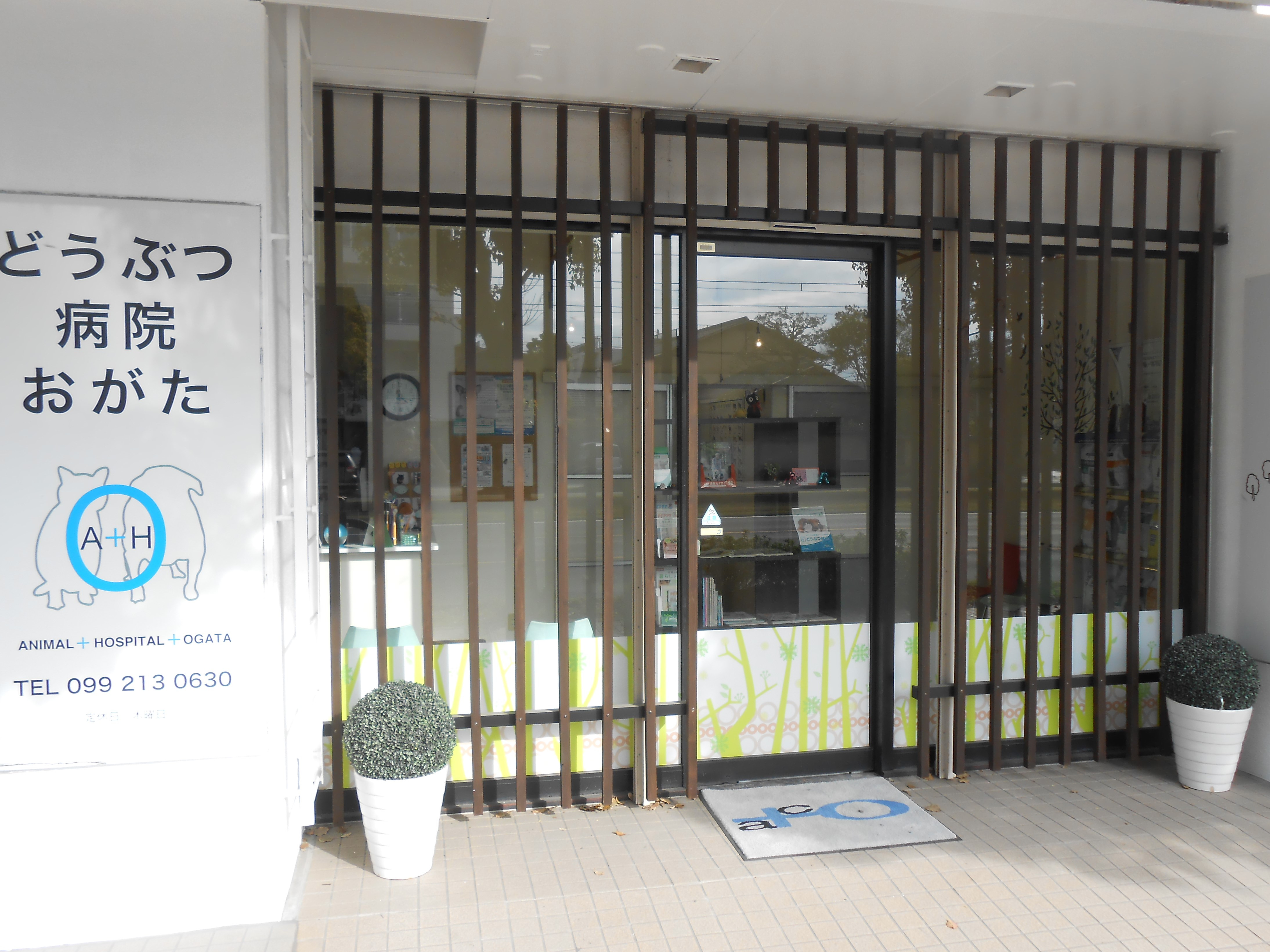 動物病院おがた