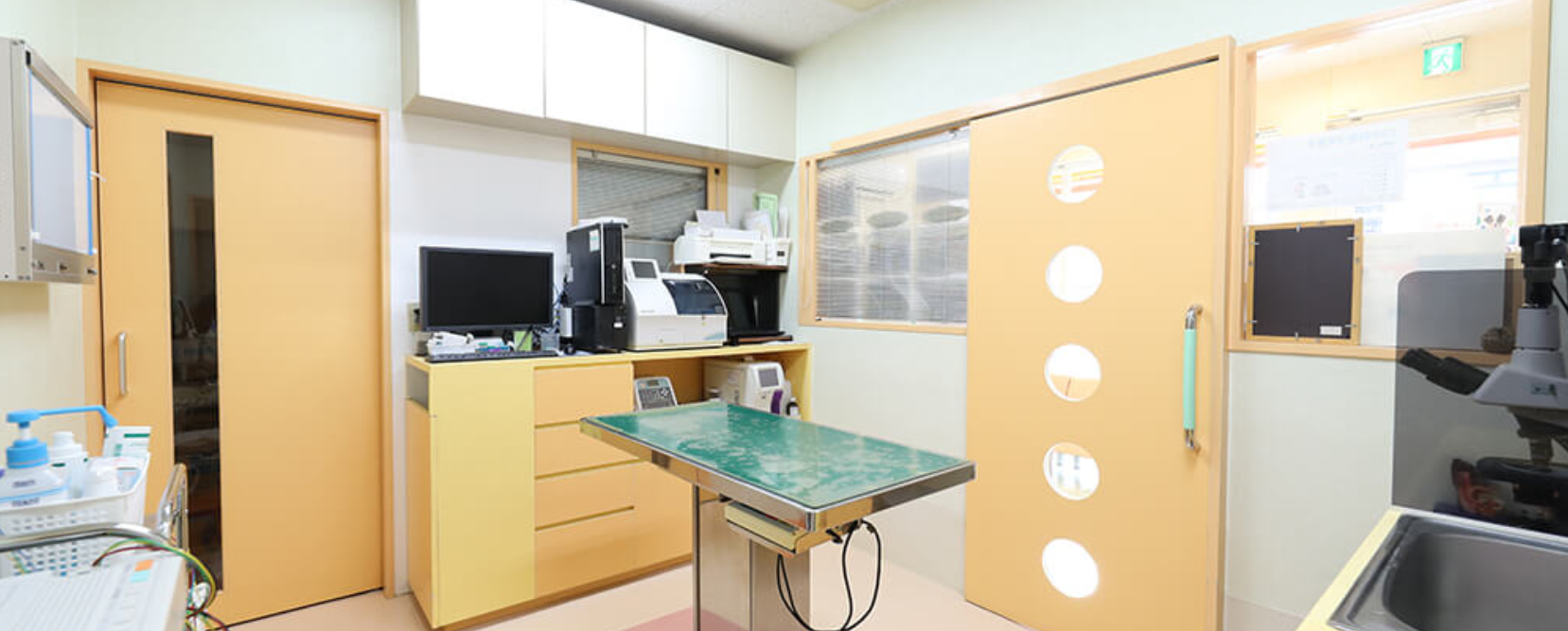 Yuka犬と猫のクリニック