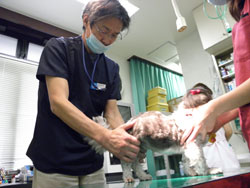 田中　巧一 院長