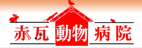 赤瓦動物病院