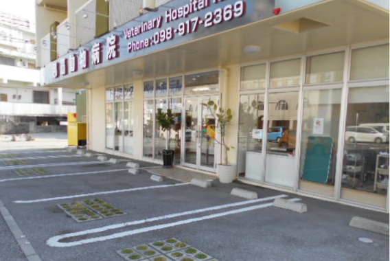 那覇動物病院