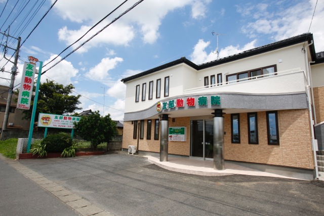 友部動物病院