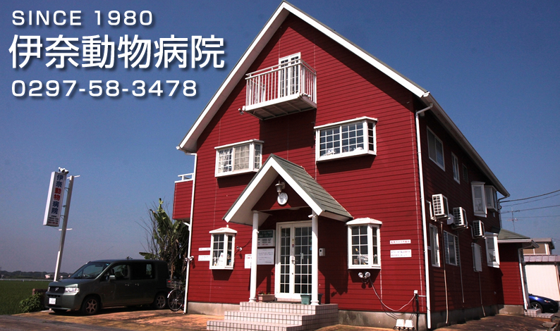 伊奈動物病院