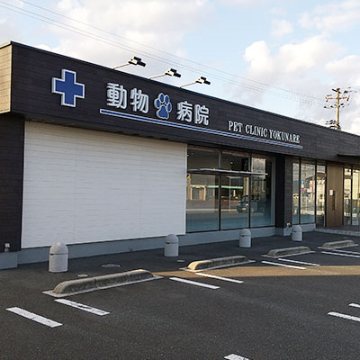 ペットクリニックよくなれ