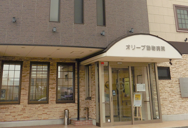 オリーブ動物病院