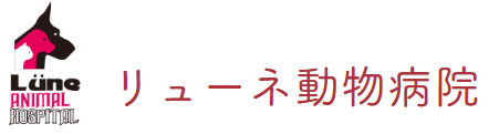 リューネ動物病院