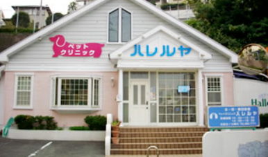 ペットクリニックハレルヤ愛宕病院