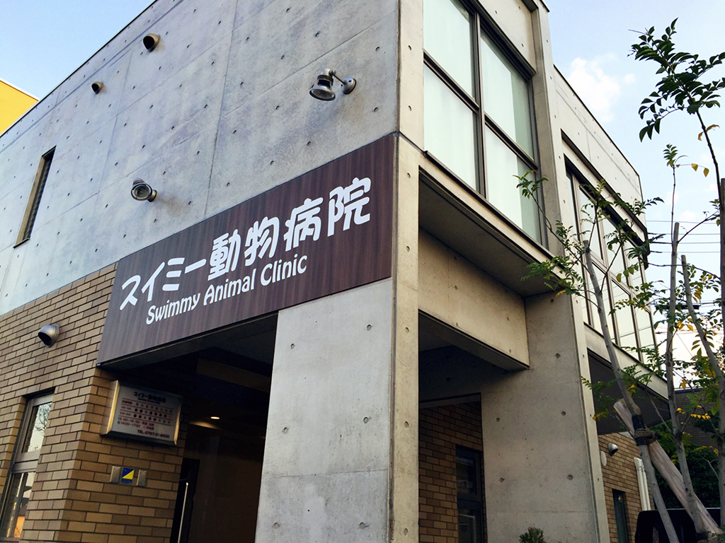 スイミー動物病院