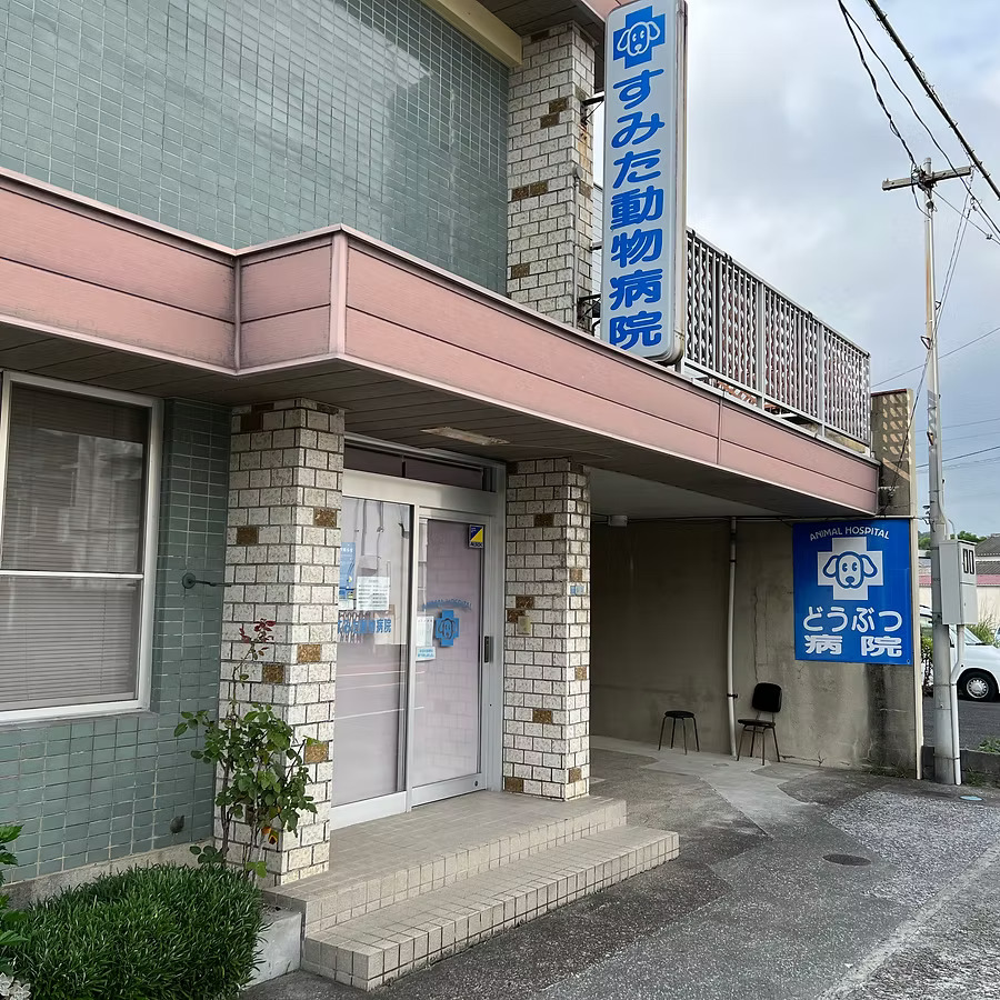 すみた動物病院