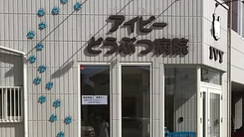 アイビーどうぶつ病院