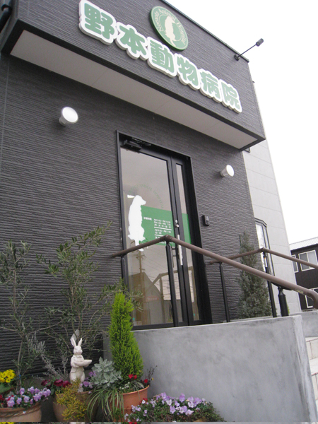 野本動物病院