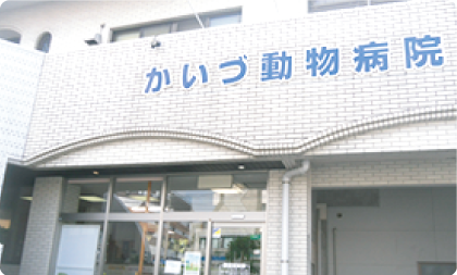 かいづ動物病院