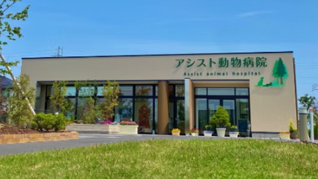 アシスト動物病院