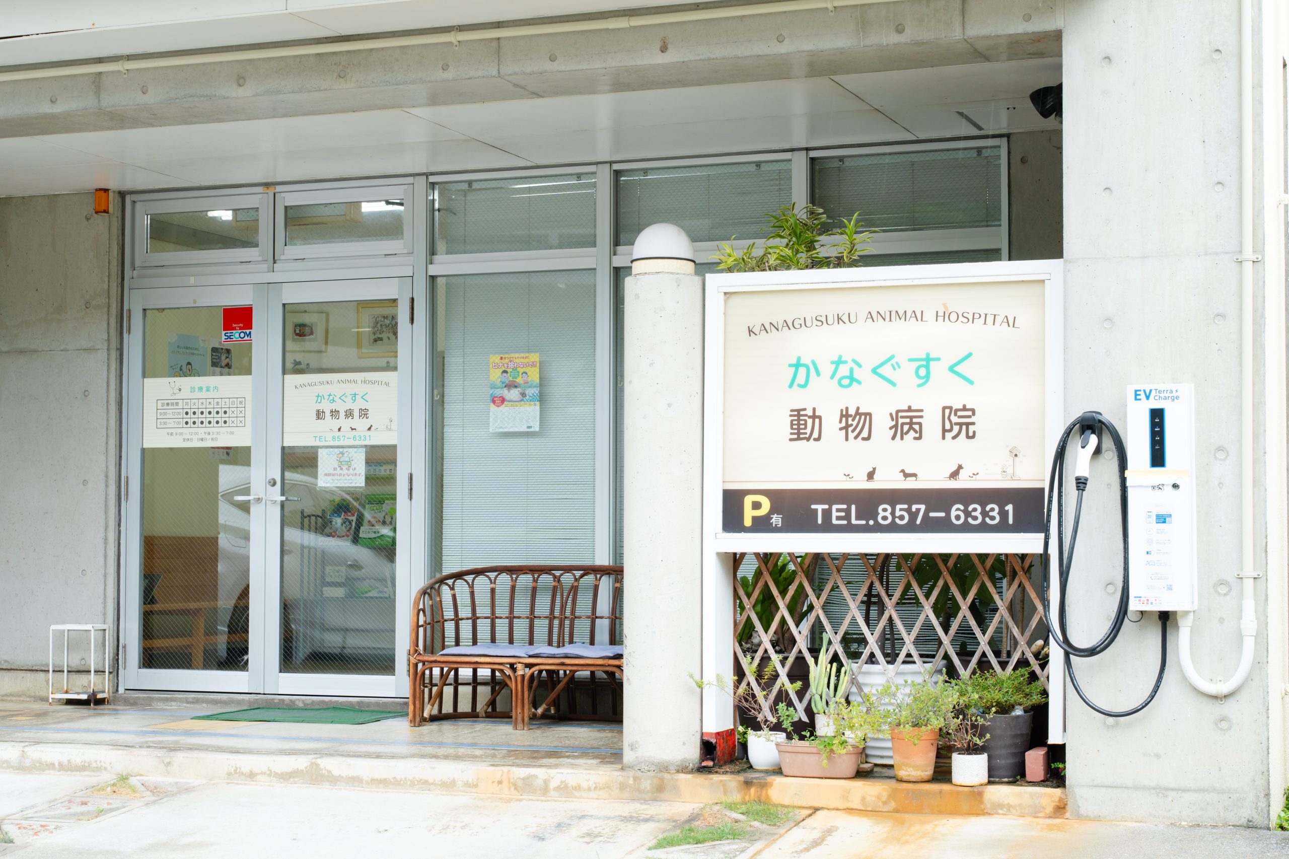 かなぐすく動物病院