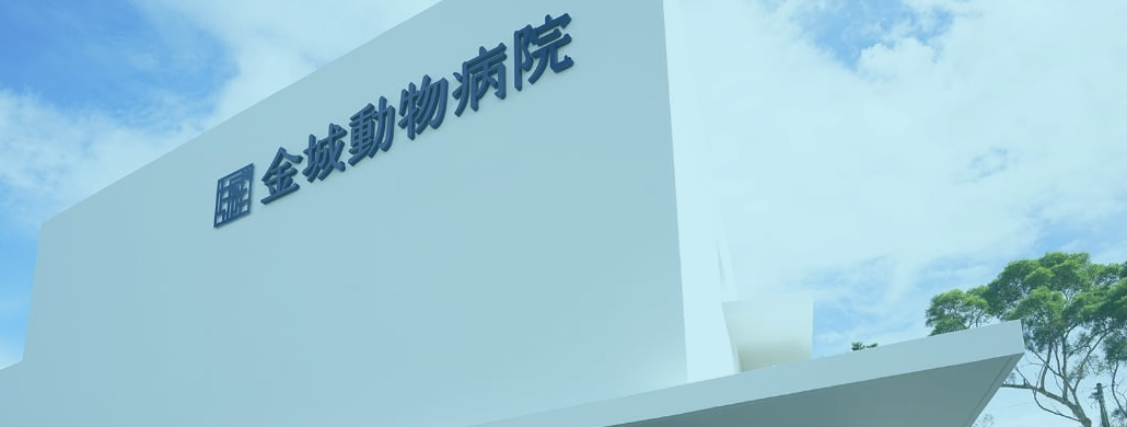金城動物病院