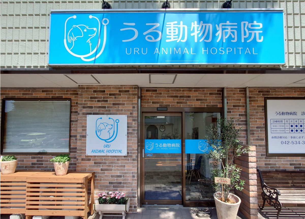うる動物病院