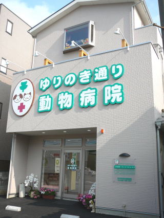 ゆりのき通り動物病院