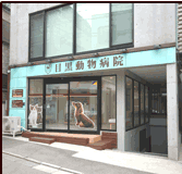 目黒動物病院