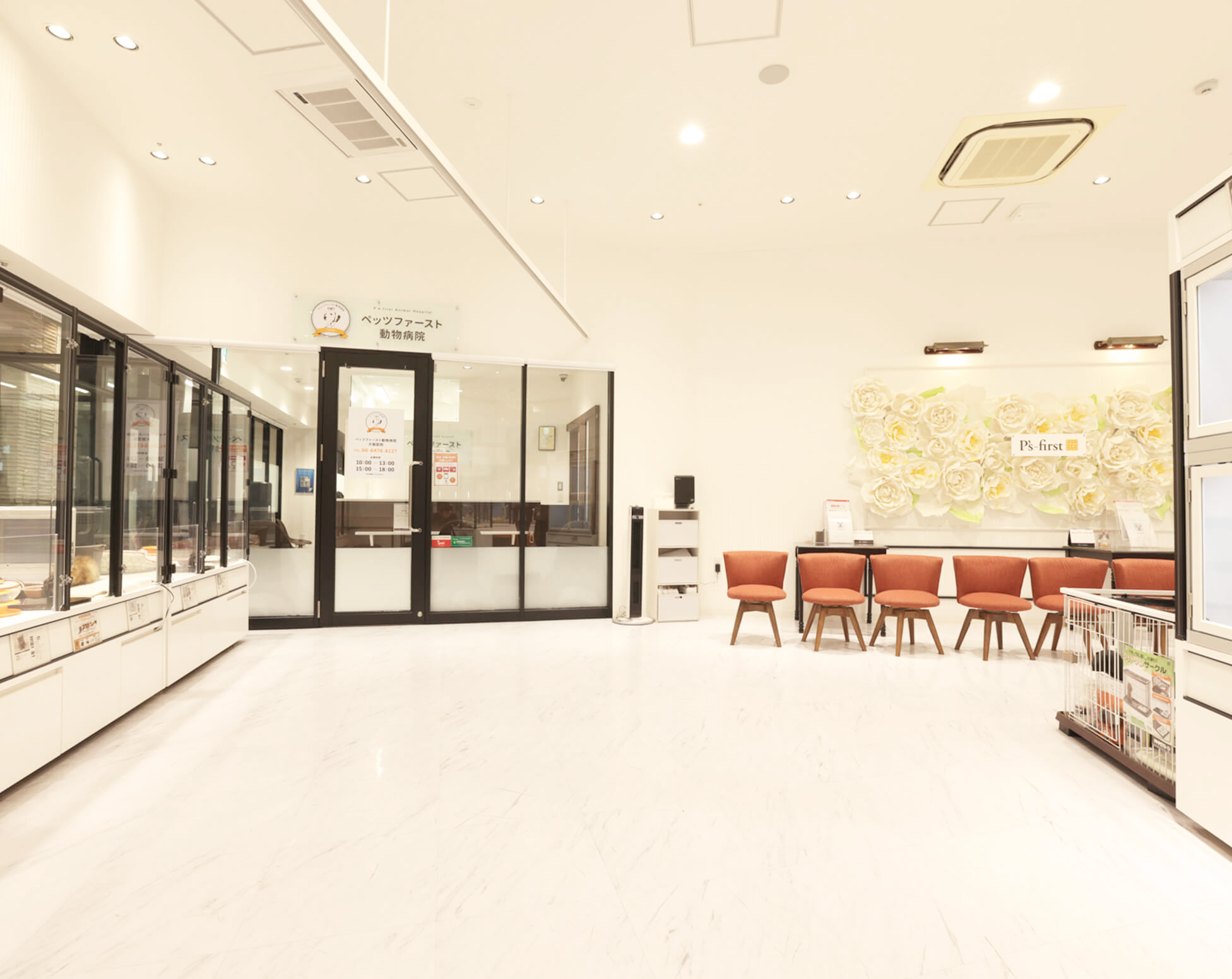 ペッツファースト動物病院