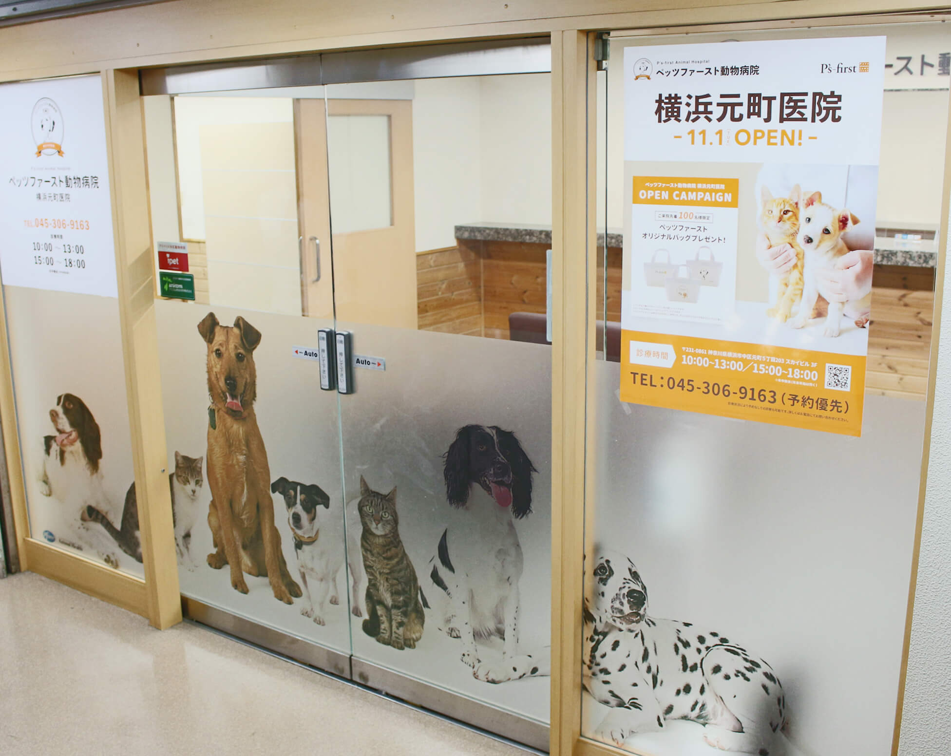 ペッツファースト動物病院