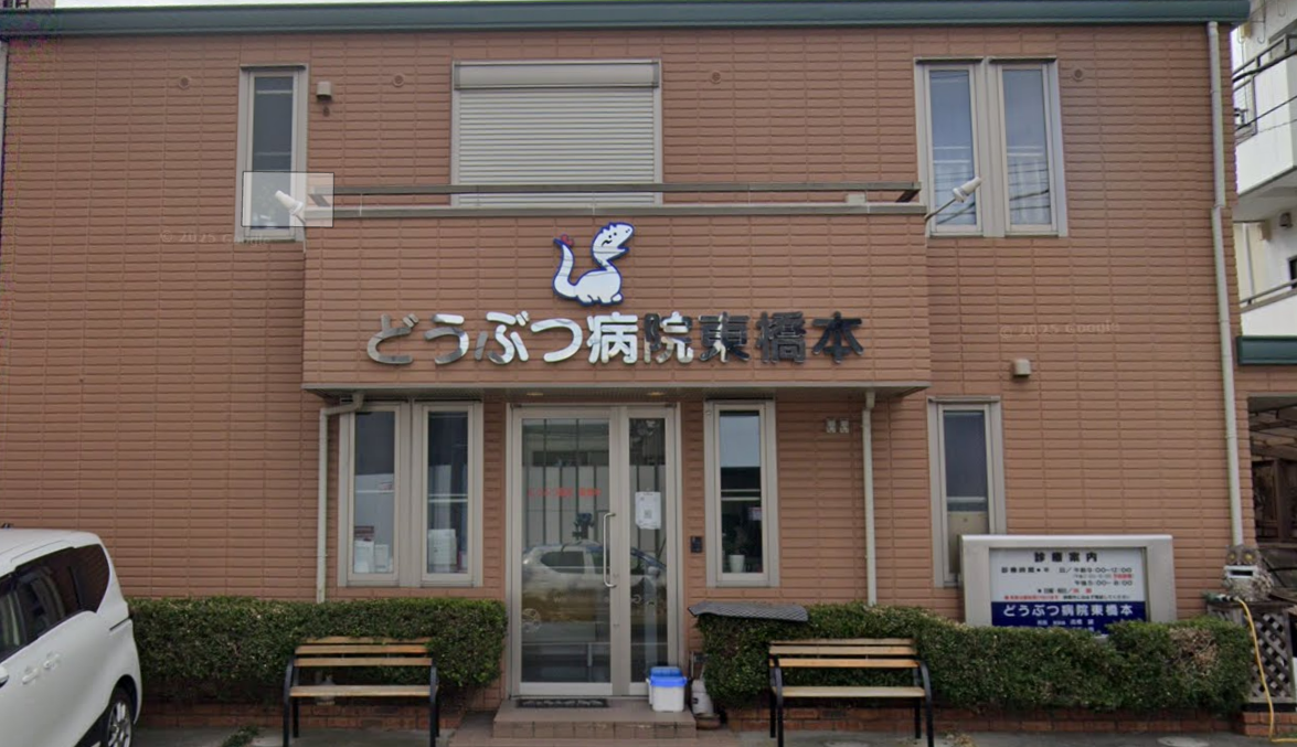 どうぶつ病院東橋本