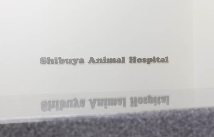 渋谷動物病院