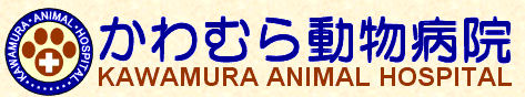 かわむら動物病院