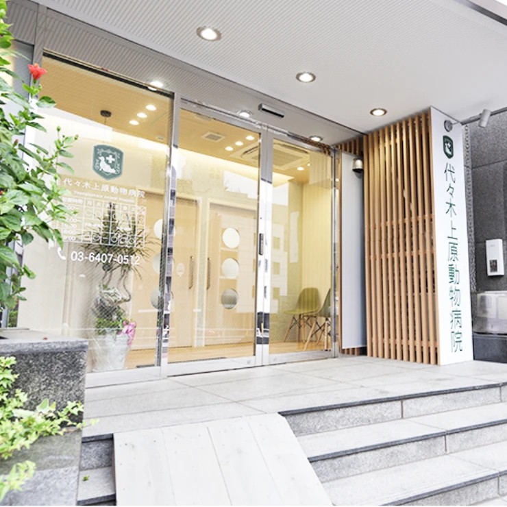 代々木上原動物病院