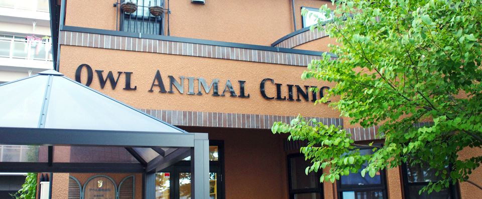 アウル動物病院