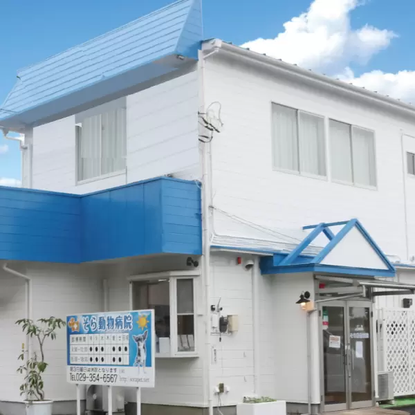 そら動物病院