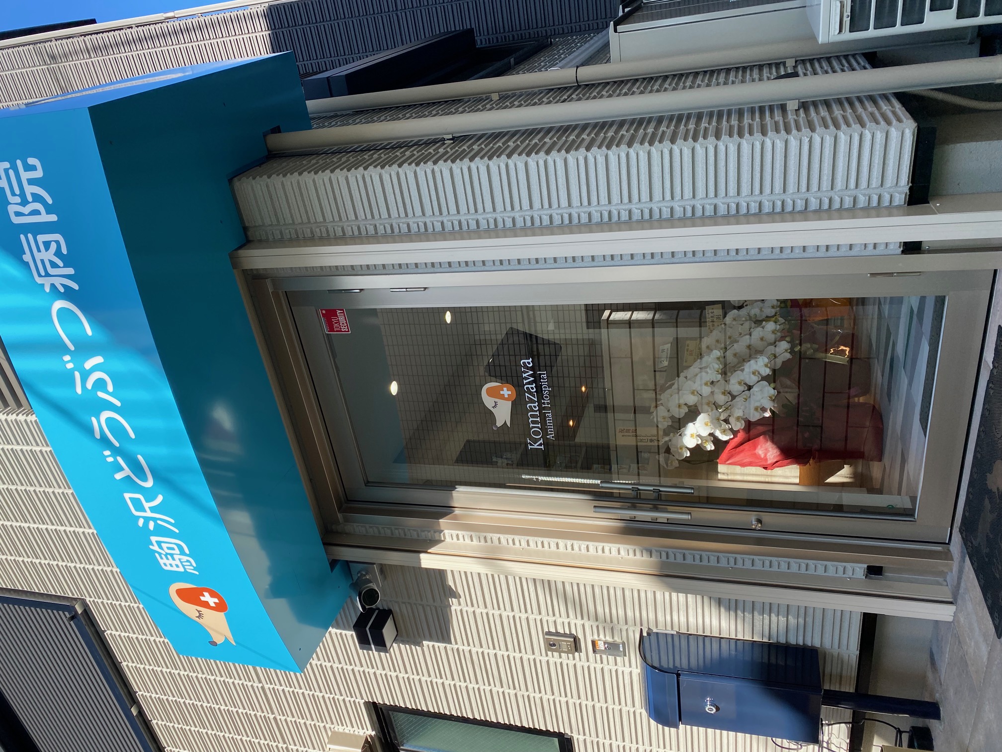 駒沢どうぶつ病院