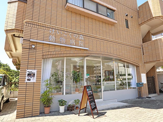 けいこくの森動物病院